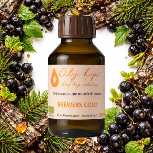 Extrait de houblon Oily hops® BREWERS GOLD Bio pour aromatiser la bière - Oily hops®